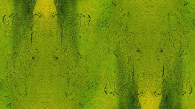 boya ile yeşil sıva