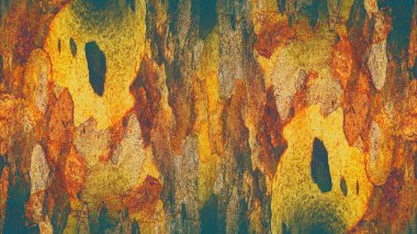 Çınar kabuk dokusu