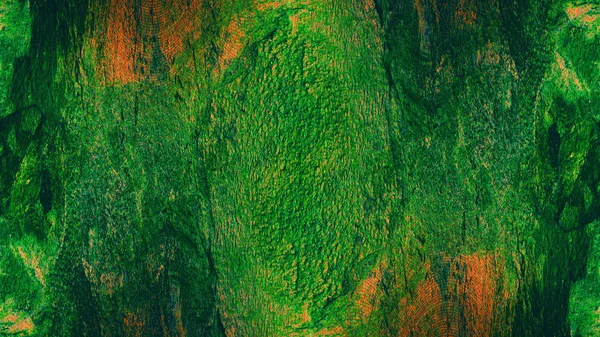 Struttura di una parete verde da muffa e muschio — Foto Stock