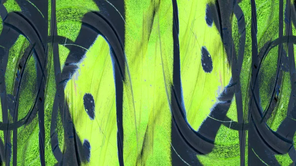 Soyut Renkli Fon duvar kağıdı