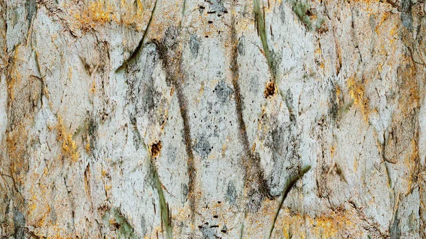 Текстура пухнастої фарби і гіпсових тріщин фону — стокове фото