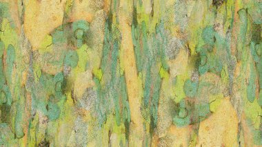 Çınar kabuk dokusu