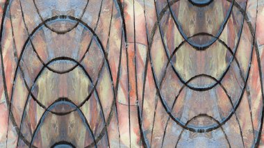 Renkli grunge boyalı duvar arkaplanı