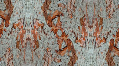 eski kağıt dokusu grunge arkaplanı