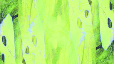 Soyut Renkli Fon duvar kağıdı