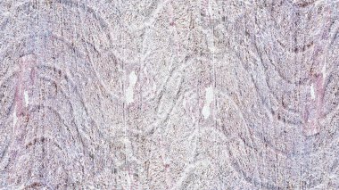 Döküntü boya ve alçı çatlaklarının dokusu