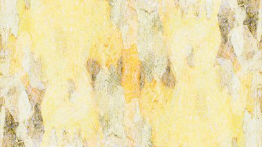 Çınar kabuk dokusu