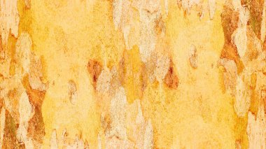 çınar kabuğuna dayalı doku