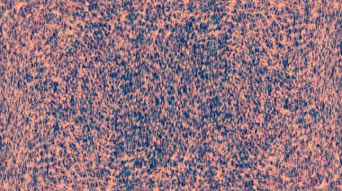 eski püskü boya ve sıva çatlakları