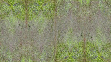 yeşil ton duvar arka plan