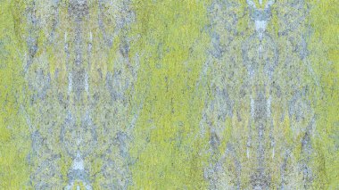 boya ile yeşil sıva