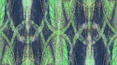 boya ile yeşil sıva