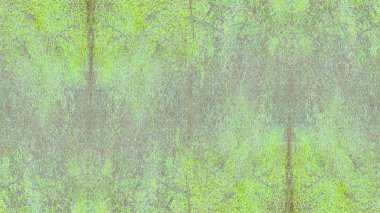 boya ile yeşil sıva