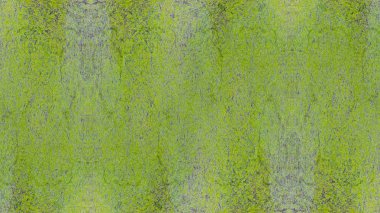 yeşil ton duvar arka plan