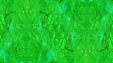 boya ile yeşil sıva