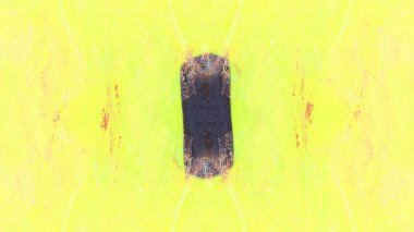 Soyut Renkli Fon duvar kağıdı