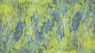 yeşil ton duvar arka plan