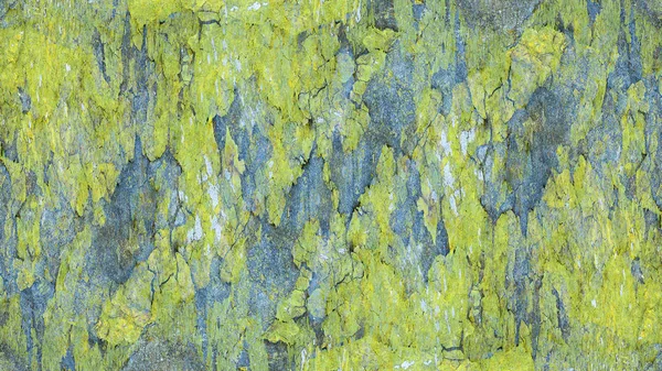 yeşil ton duvar arka plan