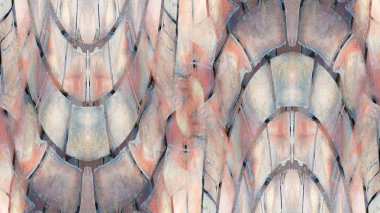 eski yıpranmış alçı duvar boya ile