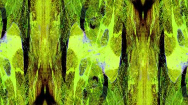 boya ile yeşil sıva