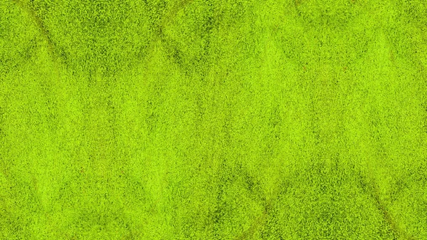Stuc vert avec peinture — Photo