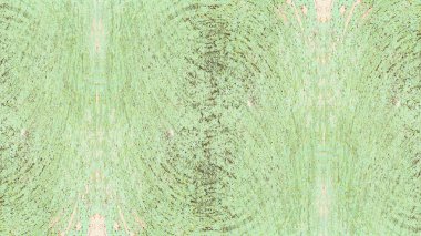 boya ile yeşil sıva