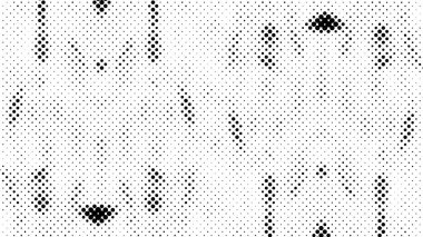 boya ile yeşil sıva