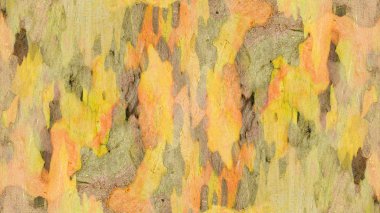 çınar kabuğuna dayalı doku