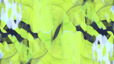 yeşil ton duvar arka plan