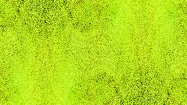 Зеленая лепнина с краской — стоковое фото