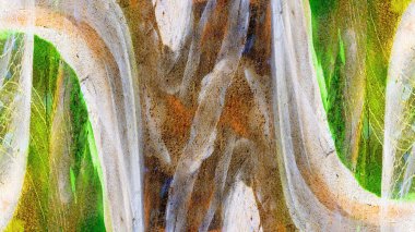 Yeşil grunge duvar arkaplanı