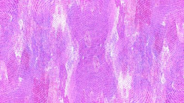 eski püskü boya ve sıva çatlakları