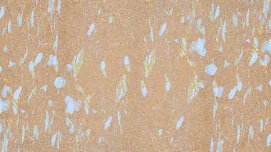 Soyut Renkli Fon duvar kağıdı