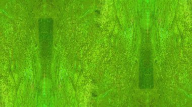 boya ile yeşil sıva