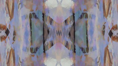 metin veya resim için alanı olan grunge arkaplanı