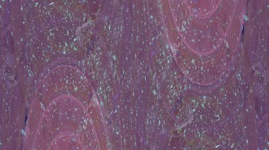 eski püskü boya ve sıva çatlakları