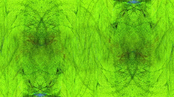 eski püskü boya ve sıva çatlakları