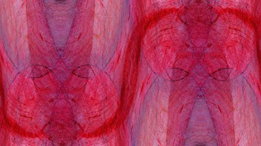 pembe tonlu duvar arkaplanı