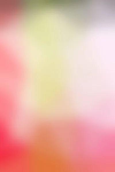 Gradient Colorful Blurred Background — Stock Photo, Image