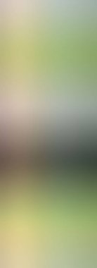 Renkli gradyan arka plan