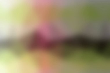 Soyut Arka Planı Bulanıklaştırın. Renkli Gradyan Defocused Fon. Sizin için Basit Trendy Tasarım Elemanı Proje, Afiş, Duvar Kağıdı. Güzel De-odaklı Yumuşak Bulanık Görüntü