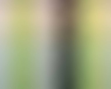 Soyut Arka Planı Bulanıklaştırın. Renkli Gradyan Defocused Fon. Sizin için Basit Trendy Tasarım Elemanı Proje, Afiş, Duvar Kağıdı. Güzel De-odaklı Yumuşak Bulanık Görüntü