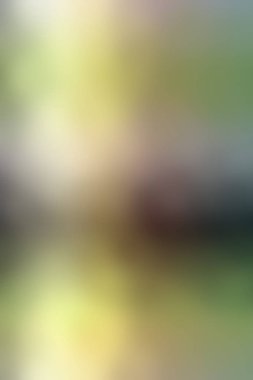 Düz renkli gradyan arka planı