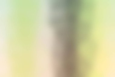 soyut renkli gradyan arkaplan