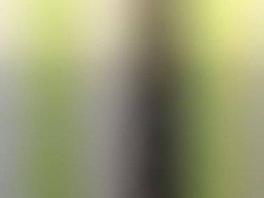 Soyut Arka Planı Bulanıklaştırın. Renkli Gradyan Defocused Fon. Sizin için Basit Trendy Tasarım Elemanı Proje, Afiş, Duvar Kağıdı. Güzel De-odaklı Yumuşak Bulanık Görüntü