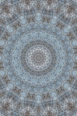 bir ağaç, bir yıllık topluluk kesim