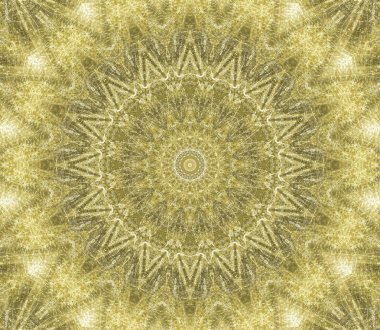 ahşap ağaç kesme çatlaklar ile yüzük