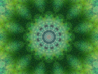 Eski boyanın dokusu ve alçı çatlakları arka planda.