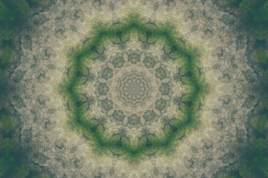 Çınar kabuk dokusu