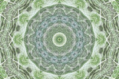 küf ve yosun yeşil duvar dokusu